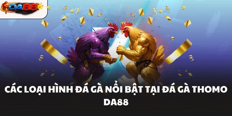 Các loại hình đá gà nổi bật tại Đá gà Thomo DA88