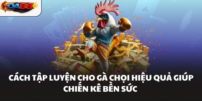 Cách Tập Luyện Cho Gà Chọi Hiệu Quả Giúp Chiến Kê Bền Sức