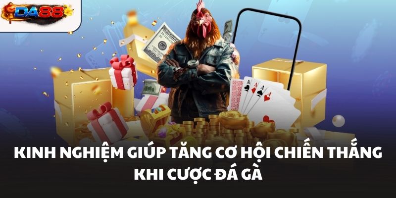 Kinh nghiệm giúp tăng cơ hội chiến thắng khi cược đá gà