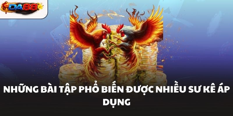 Những bài tập phổ biến được nhiều sư kê áp dụng